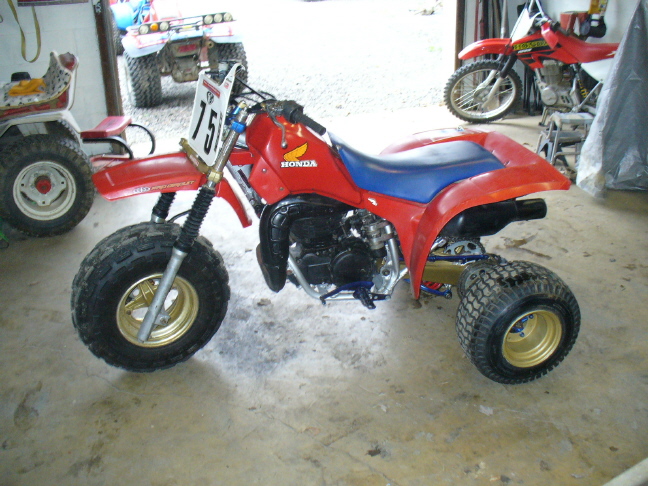 Tionesta Trikes 1984 ATC250R